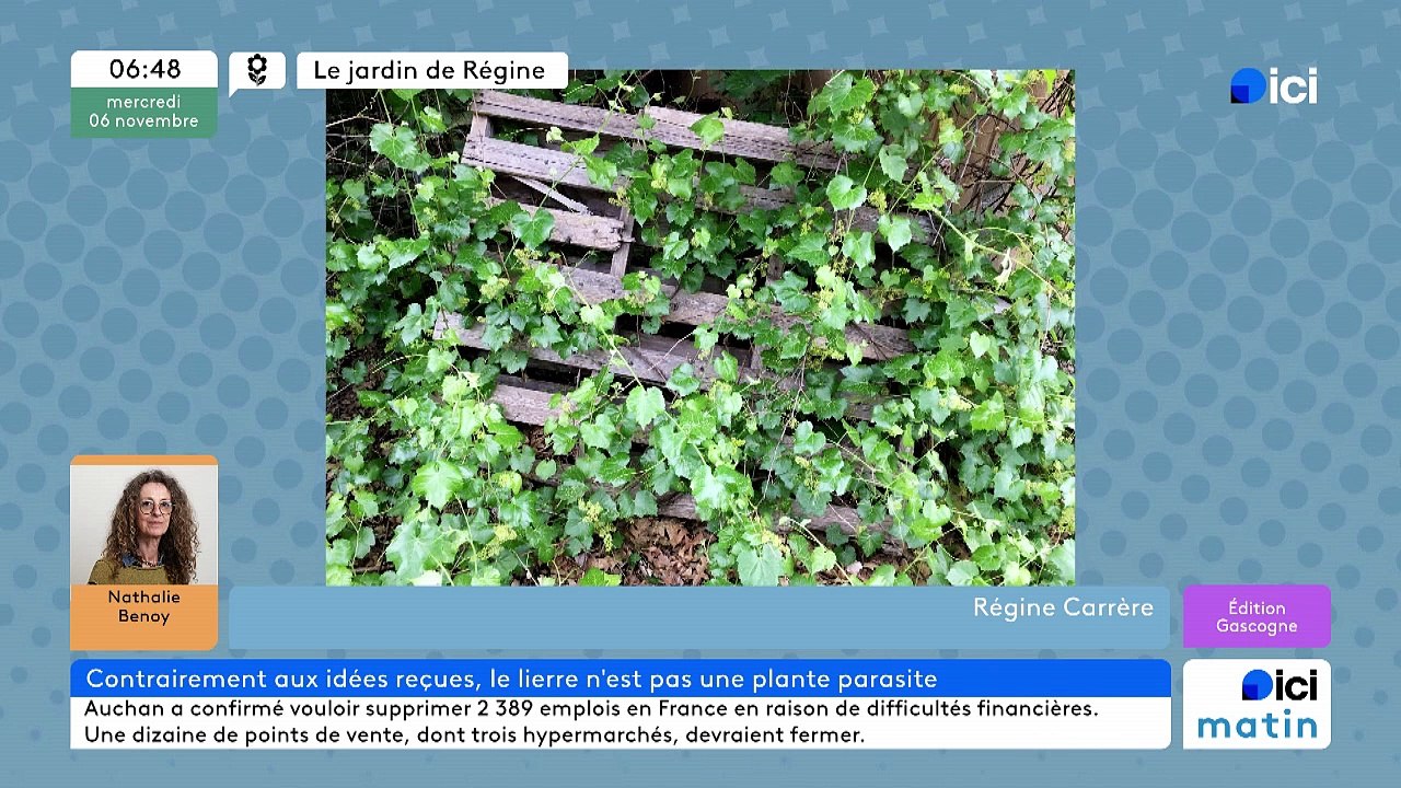 06/11/2024 - ICI Matin France Bleu Gascogne en vidéo
