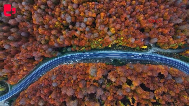 Domaniç Dağları'nda eşsiz sonbahar manzarası