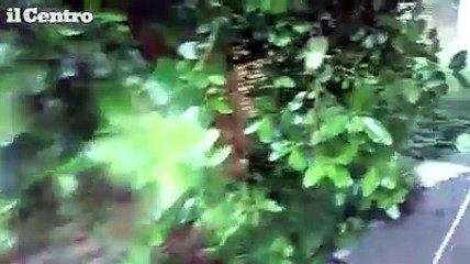 Chieti, dimenticato l'asilo distrutto dal rogo