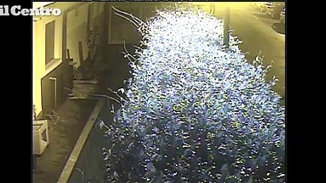 Pescara, ecco gli autori dell'attentato a Sebastiani