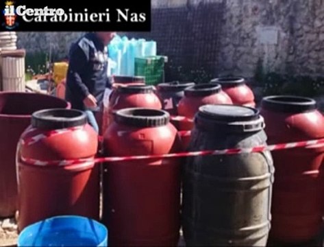 Avezzano, Nas sequestrano laboratorio per la lavorazione delle olive