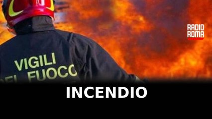 Fiamme ad Amaseno domate dai vigili del fuoco