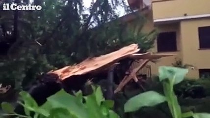 Un fulmine abbatte l'albero in giardino