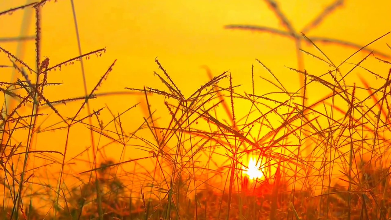 Âm nhạc thư giãn trị liệu với cảnh đẹp nhân gian - Vẻ đẹp nguyên sơ nơi Cao Nguyên