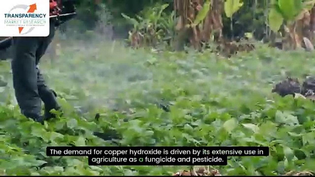 Copper Hydroxide Market