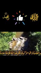 surah MUZZAMMIL new 1#IslamicShorts #shorts #QuranRecitation #shortfeed #shortsvideo #shortsvideo