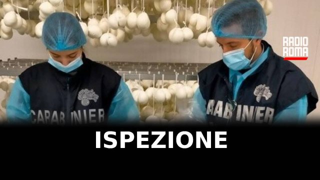 Ispezione dei NAS, chiusi due depositi
