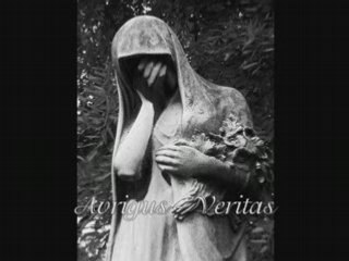 Avrigus - Veritas (FiX)