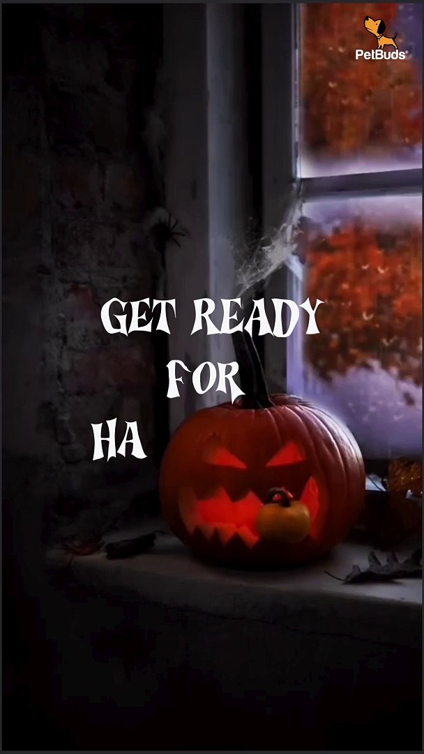 ⁣Halloween Pumpkin Dog Toys - Spooky Fun for Pets!