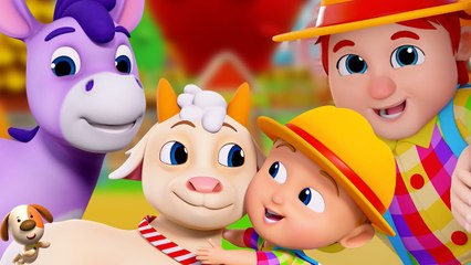 Old Farmer Joe Had a Farm + More Animal Songs & Cartoon Videos for Kids