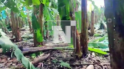 El sector agropecuario se declara en crisis luego de 24 días de bloqueo de carreteras