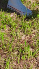 How to Transform Your Backyard! Build a Swimming Pool in One Day! 🏊‍♂️✨