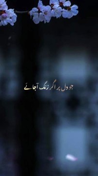 Beautiful Islamic video🌹 #islamicquotes #islamics