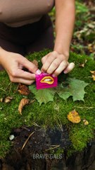 Why i didn't know about this survival hack before?