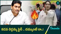 దమ్ముంటే నీ పేపర్లో రాయి | Madhavi Reddy Vs YS Jagan | Kadapa | Oneindia Telugu