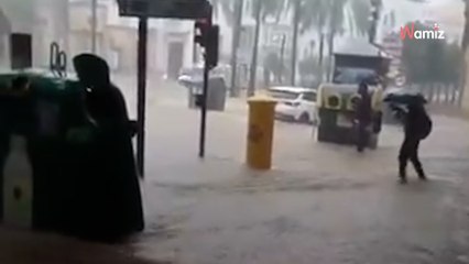 DANA floods prove devastating for rescue animals in Cádiz: Here's how to help