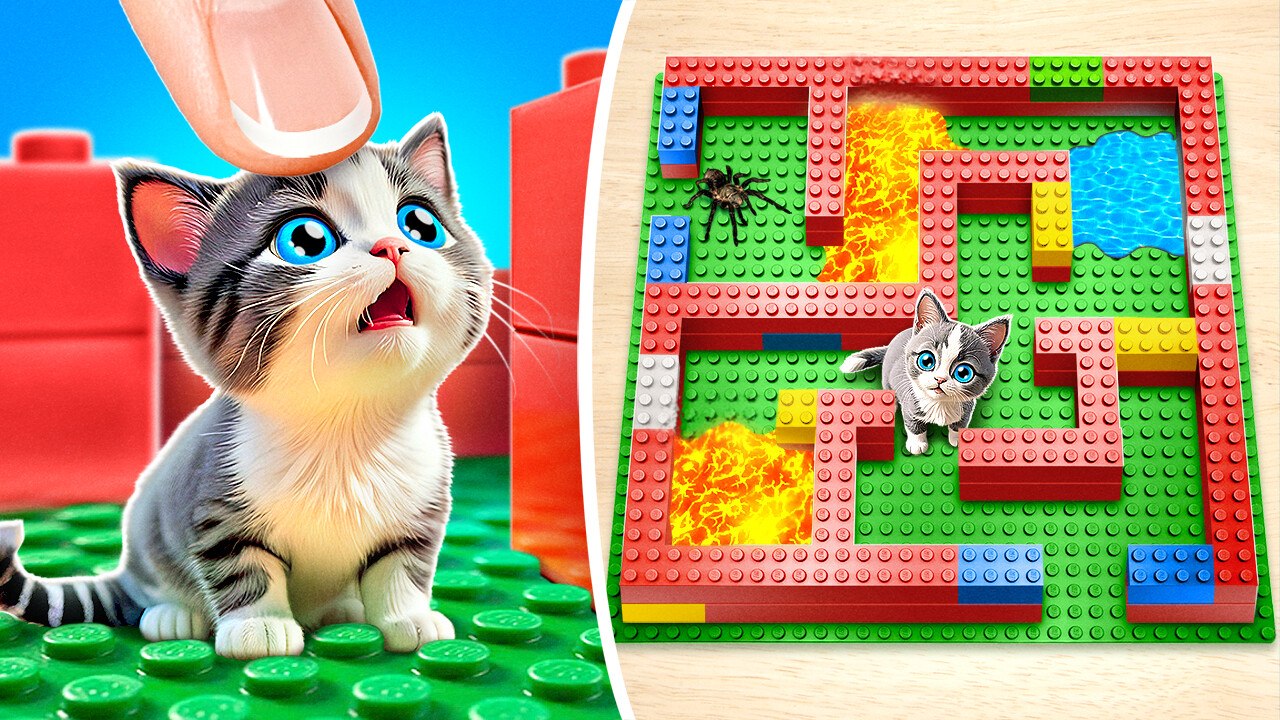Cat in Lava Maze 🐱😱 *DIY Cardboard Mazes and Crafts for Pets*