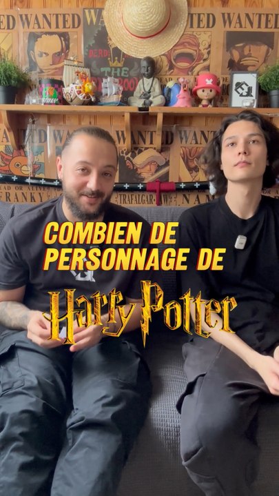 Les enchères version Harry Potter ! Ft @nesshoka #Quiz #Harry #Potter #Hogwarts #HP #Sorcier