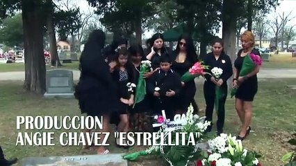 VER EL ROBO DEL PURA SANGRE Película de acción completa en español
