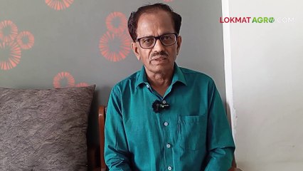 वेळेवर पेरणी करावयाच्या बागायती गव्हासाठी खत व्यवस्थापन