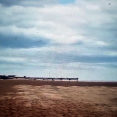 Council set to extend dog ban on Lincolnshire beaches