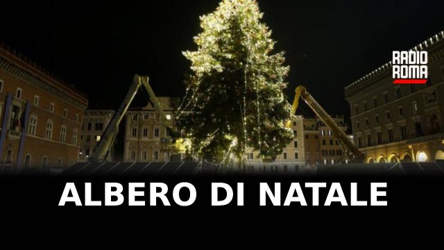 Albero di Natale di Piazza del Popolo
