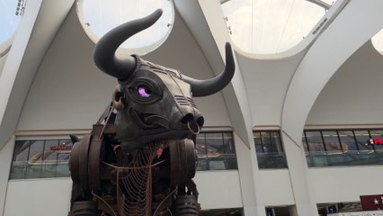 Brummies share thoughts on Ozzy Osbourne's potential recognition