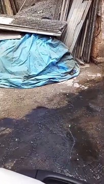 Esgoto a céu aberto causa transtornos aos moradores da Boca do Rio