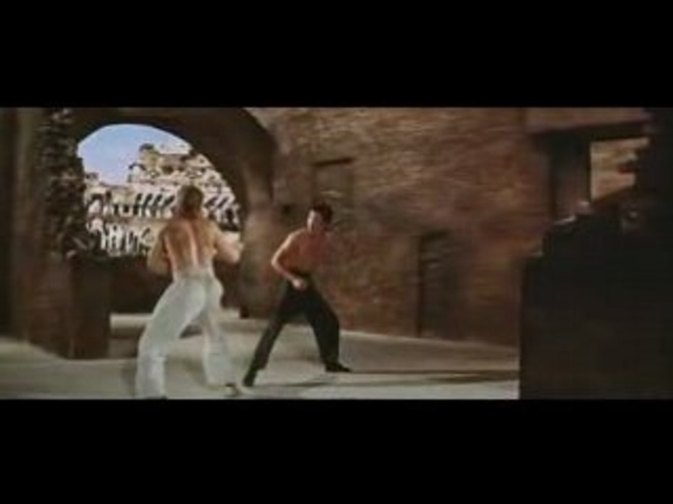 Chuck Norris VS Bruce Lee