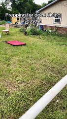 German Shepherd practices retrieving for dock diving by using a bar set up first!