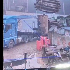 Video: Trabajadores pierden la vida tras ser aplastados por una pila de troncos que descargaban