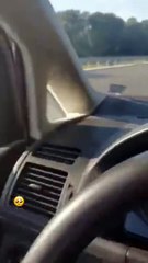 Sauvetage d'un chaton piégé sur l'autoroute
