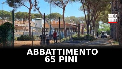 Abbattimento pini a Tarquinia, chiesto intervento Rocca