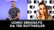 Uomo sbranato da tre rottweiler, cosa ci dice la Legislazione?