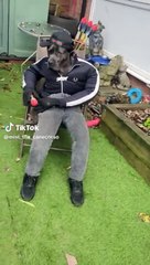 La star di TikTok che si veste da umano e guadagna una cifra da capogiro il VIDEO