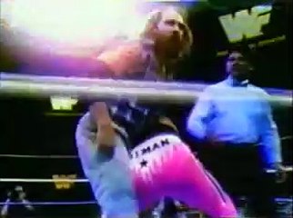 Bret The Hitman Hart vs Skinner