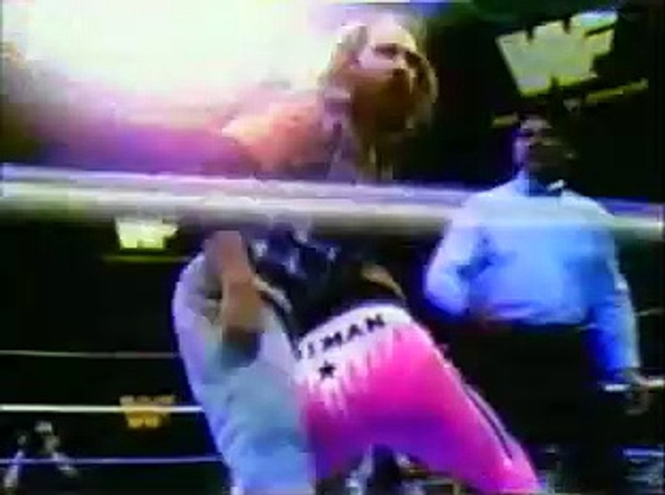 Bret The Hitman Hart vs Skinner