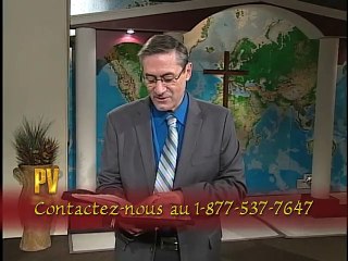 0254. Quelles sont les causes des préjugés ?