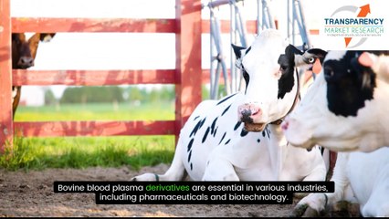Bovine Blood Plasma Derivatives Market