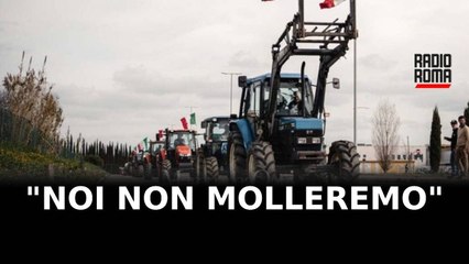 Protesta degli agricoltori. Calvani: “Noi non molleremo!”