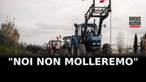Protesta degli agricoltori. Calvani: “Noi non molleremo!”