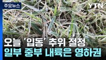 [날씨] 곳곳 영하권 추위에 올가을 첫서리...오늘 추위 절정 / YTN