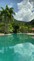 Virus Design Premium Apartement is launched in Hyderabad