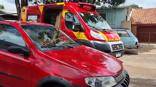 Nasceu de novo: Homem tem lesões no pescoço ao ser atacado por pitbull no Santo Onofre