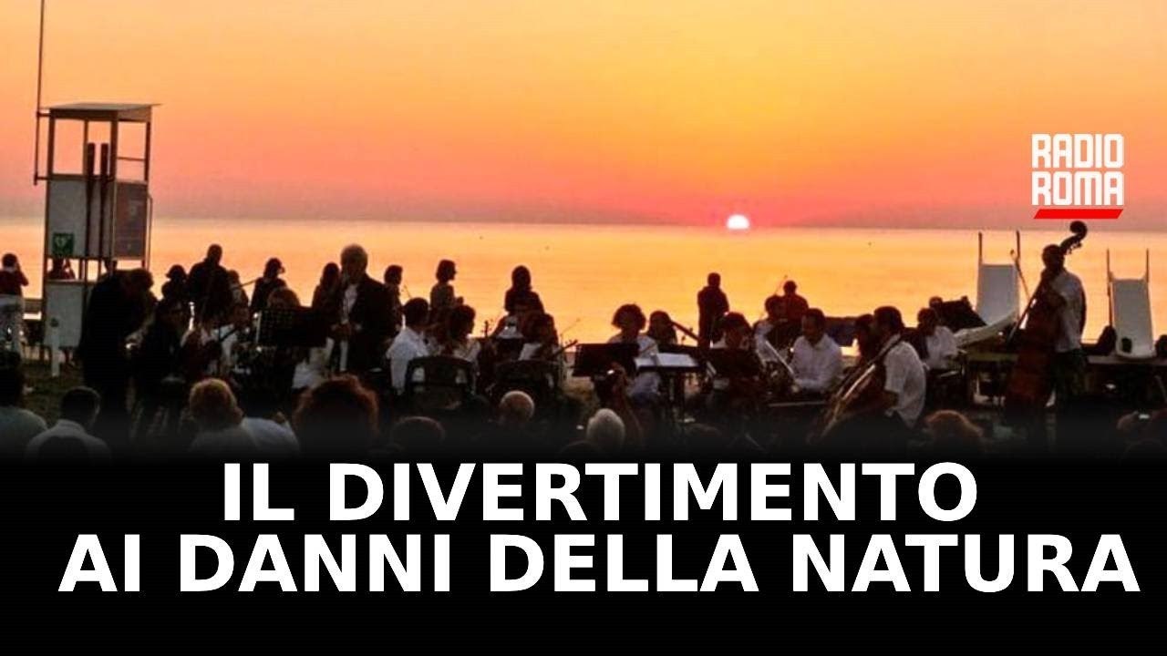 Dai concerti in spiaggia agli eventi nei boschi: ci divertiamo ai danni della natura?