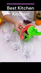 "Squeeze, Twist, Enjoy: Fresh Juice at Your Fingertips with Ultimate Safety!"