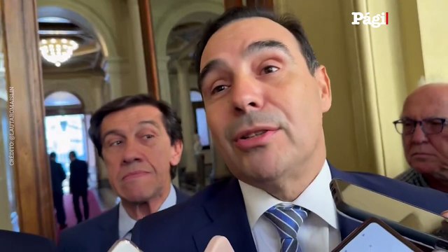 Es la frescura que tiene Milei : Valdés sobre la posición de los gobernadores radicales a la acusación de Milei a Alfonsín