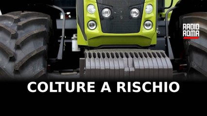 Lazio, coltura a rischio: l'appello di Coldiretti