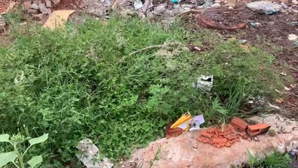 Terreno baldio com acúmulo de lixo e mato no Florais do Paraná gera preocupação entre moradores