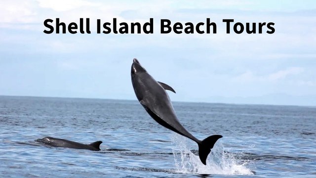 Shell Island Beach Tours | 315 Twin Lakes Dr,Panama City Beach, FL 32413 | (850)392-7776